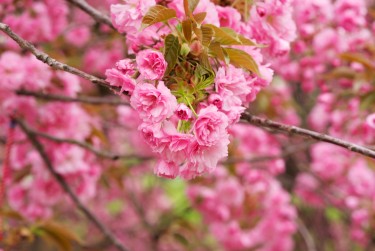 宁波海曙区2线下个人借款平台一站式服务，轻松解决资金难题