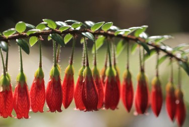 宁波海曙区2零用贷短借：轻松解决临时资金需求